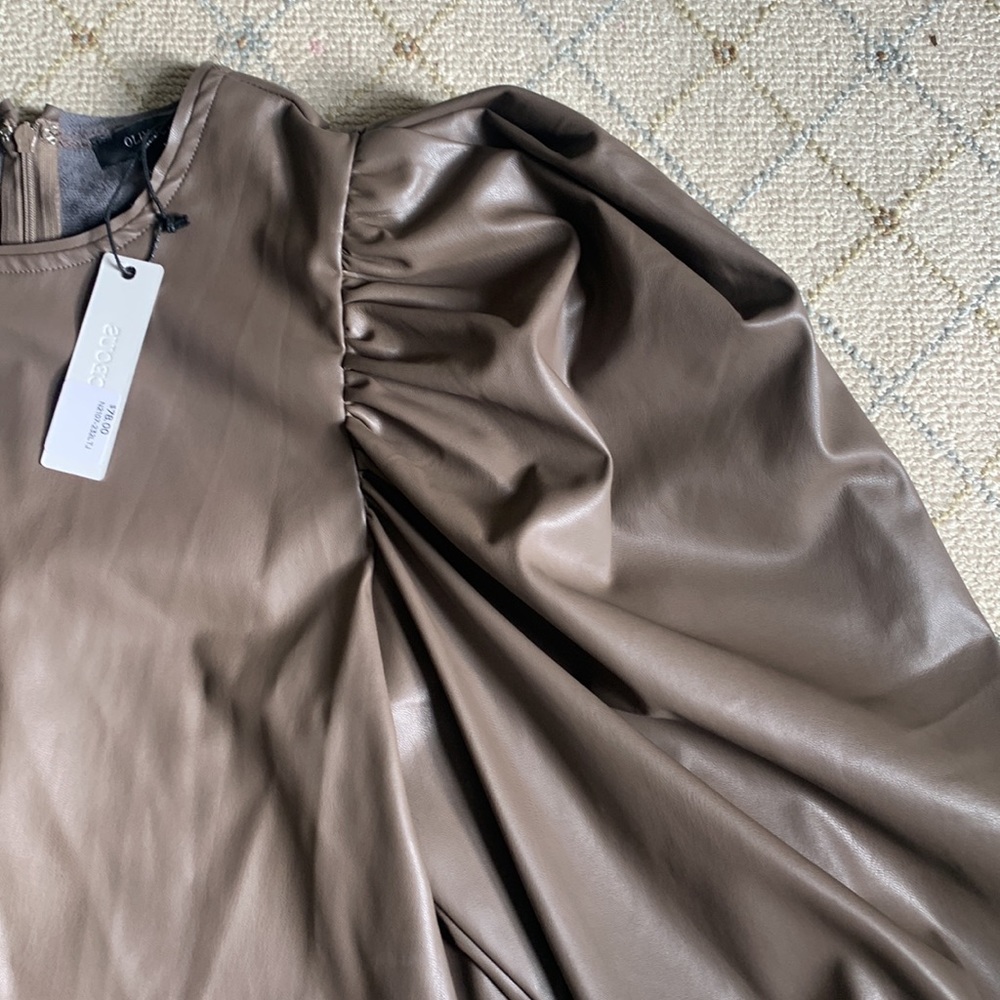 Olivaceous top - Picture 2 of 4